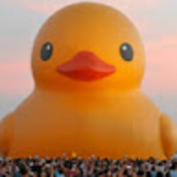 Meet your Posher, Yianni - Picture 1 of 1